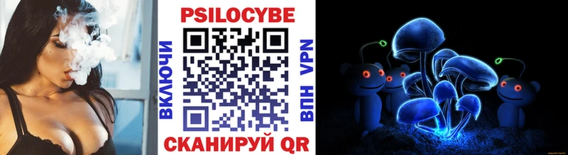 omg как зайти  Новый Уренгой  Галлюциногенные грибы Psilocybine cubensis 